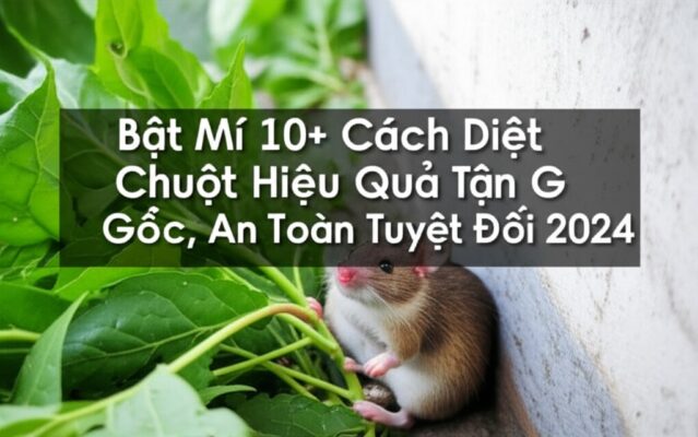 Bật Mí 10+ Cách Diệt Chuột Hiệu Quả Tận Gốc, An Toàn Tuyệt Đối 2024