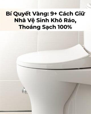 Bí Quyết Vàng: 9+ Cách Giữ Nhà Vệ Sinh Khô Ráo, Thoáng Sạch 100%