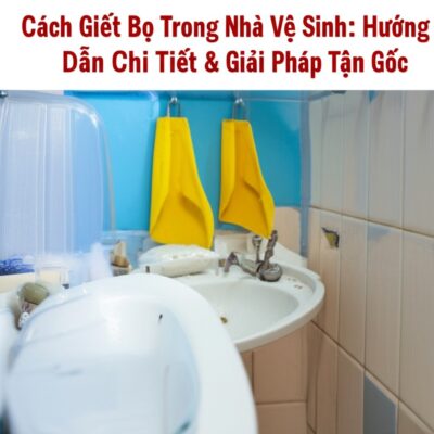 Cách Giết Bọ Trong Nhà Vệ Sinh: Hướng Dẫn Chi Tiết & Giải Pháp Tận Gốc