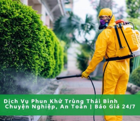 Dịch Vụ Phun Khử Trùng Thái Bình Chuyên Nghiệp, An Toàn | Báo Giá 24/7