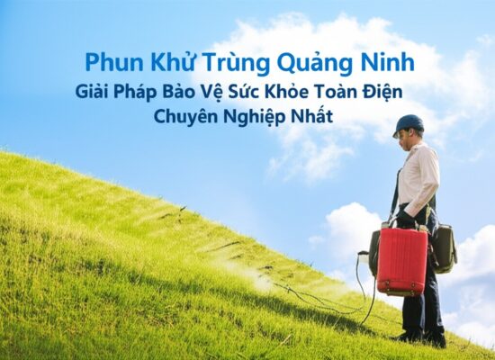 Phun Khử Trùng Quảng Ninh: Giải Pháp Bảo Vệ Sức Khỏe Toàn Diện, Chuyên Nghiệp Nhất